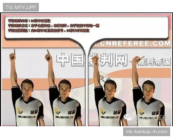了解篮球后场规则，掌握前场回传限制与判罚标准